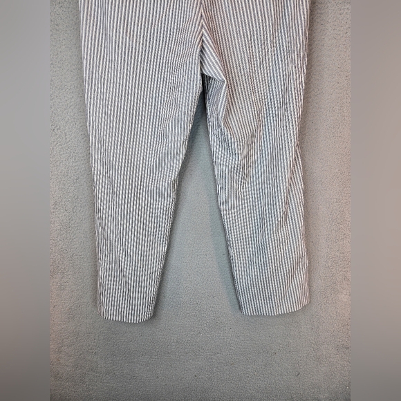 Amanda & Chelsea Womens Pants sz 14 Blue-White Railroad Stripe Modern Fit Ankle - Picture 9 of 10